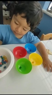 WhatsApp Image 2026-02-05 at 10.29.44 PM